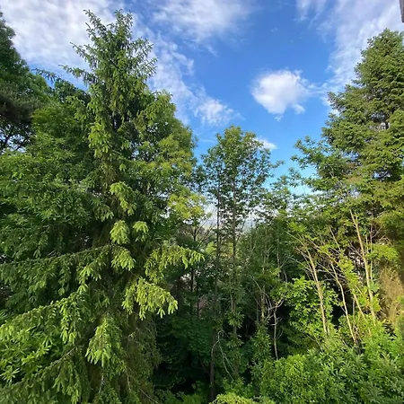 Daire Waldzeit Xl Und Self Check-in