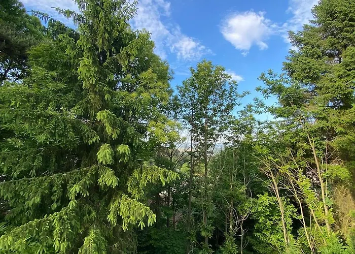 Apartamento Waldzeit Xl Und Self Check-in